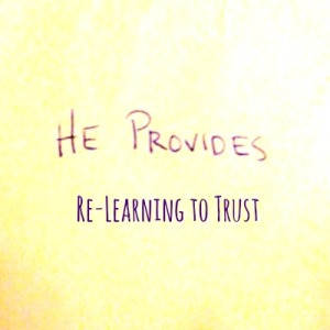 he provides